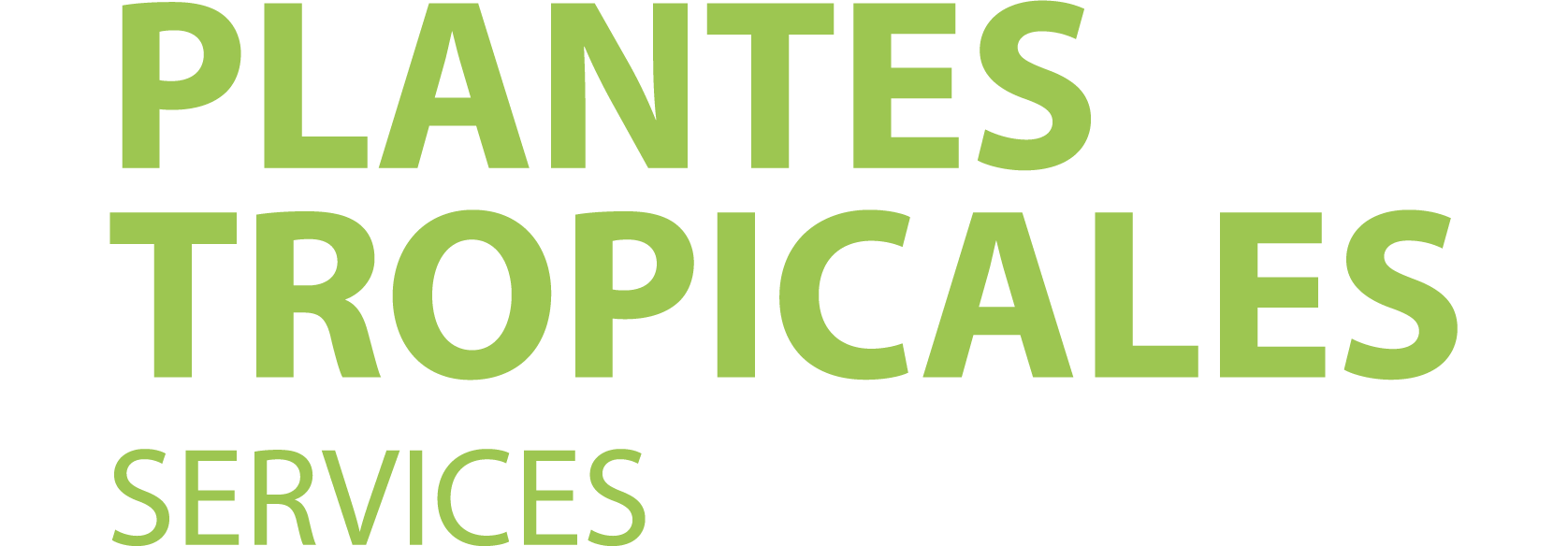 Plantes Tropicales